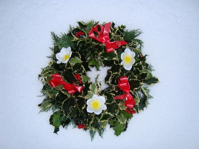 Holly Wreath