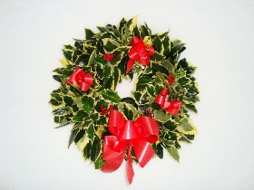 Holly Wreath